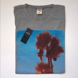 Hollister t-shirt (NWT) size :L